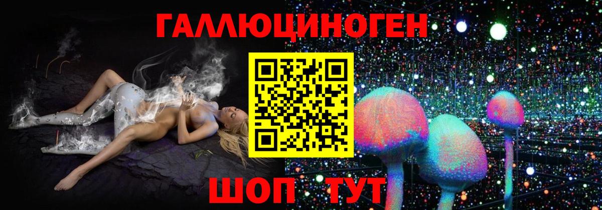 Сухой Лог  наркота  Вход с VPN  Галлюциногенные грибы мицелий  Галлюциногенные грибы прущие грибы 